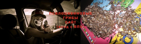 мет Бородино
