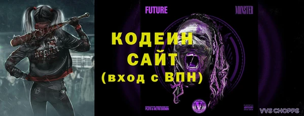 мет Бородино
