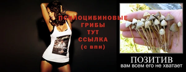 дживик Бугульма