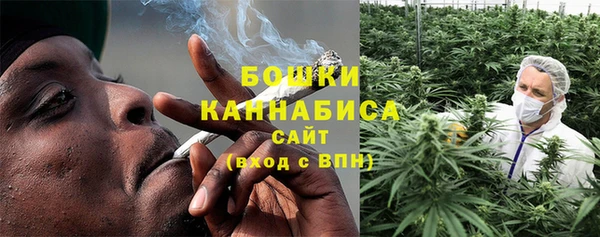 мет Бородино