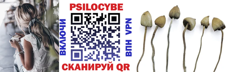 как найти наркотики  Кирсанов  Псилоцибиновые грибы мухоморы 